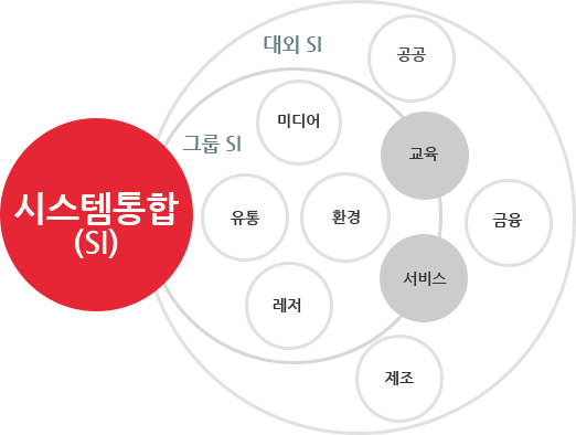 대교CNS SI-그룹 SI[미디어,유통,환경,레저 등] , 대외SI [공공, 교육, 서비스, 제조, 금융 등]